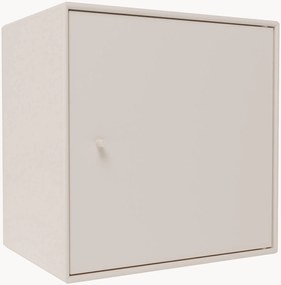 Module Mini 1003