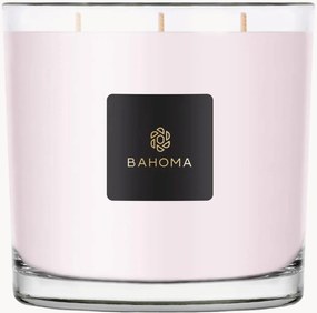 XXL kaars in een doos (fluweelpioen & kasjmier)