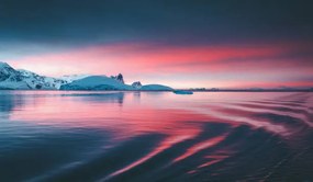 Foto Stunning sunset on the Antarctic peninsula, David Merron Photography