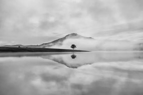 Foto Reflective trees on the lake, Thanh Thuy, (40 x 26.7 cm)