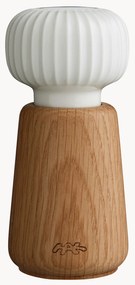 Kruidenmolen Hammershøi