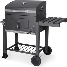 Famiflora Houtskool BBQ Illinois - BBQ grilloppervlak 55x41cm - Met thermometer