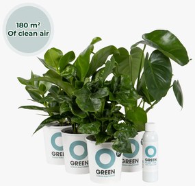 Ogreen Green Office