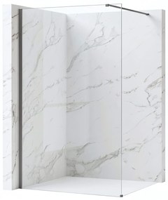 Walk-in douchewand Rea Flexi Transparent / Titan 80