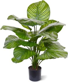 Kunstplant Designplants Calathea Fasciata | Groen Kunststof | Kees Smit Tuinmeubelen