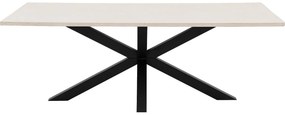 Goossens Eettafel Stone, Rechthoekig 220 x 110 cm