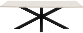Goossens Eettafel Stone, Rechthoekig 220 x 110 cm