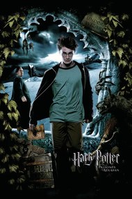 Kunstafdruk Harry Potter - Harry