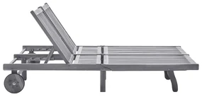 vidaXL Ligbed 2-persoons met kussens massief acaciahout grijs