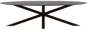 Goossens Excellent Eettafel Gs-1302, Ovaal 300 x 130 cm