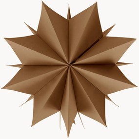 Lichtdecoratie Polaris Star