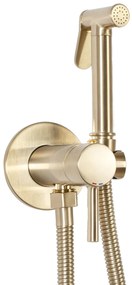 Inbouw Bidetmengkraan Rea Lungo Loop Gold Brush