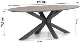 Dining Tuintafel ovaal ellipse 220 x 115 cm Aluminium/polywood Grijs Matara