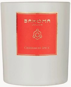 Geurkaars Cinnamon Spice (mandarijn & kaneel)