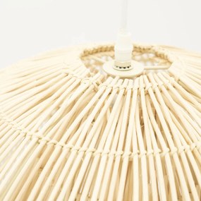 Rieten Lamp Organische Vorm Naturel
