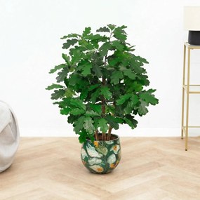 Kunst Oak tree - 90cm