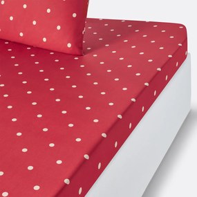 Hoeslaken in zuiver katoen, Edelweiss