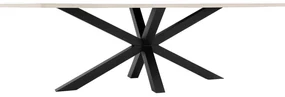 Goossens Eettafel Stone, Rechthoekig 220 x 110 cm