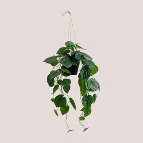 Pothos Decoratieve kunsthangplant Donkergroen - Sklum