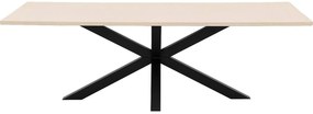 Goossens Eettafel Stone, Rechthoekig 240 x 110 cm