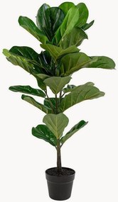 XL-kunstplant Fiddle