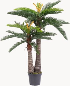 Outdoor kunstplant Cycas, H 150 cm