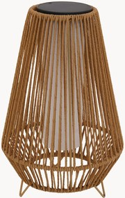 Dimbare solar-LED-vloerlamp Salomea Tall