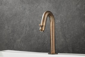 Saniclear Antique gebogen fonteinkraan verouderd messing