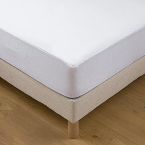 Matrasbeschermer van behandelde jersey, waterdicht H22cm