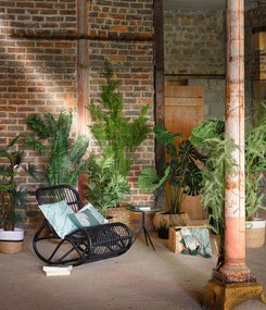 Kunstplant Jungle Fever | Pomax