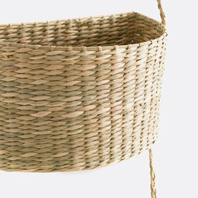 Hangende mandjes in herbarium, Cesta