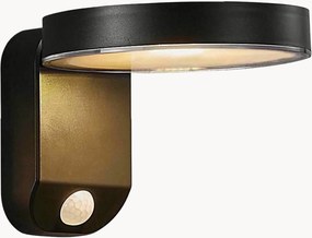 Solar LED-wandlamp Rica met bewegingssensor