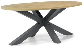 Dining Tuintafel ovaal 200 x 110 cm Teak Old teak greywash Brookline