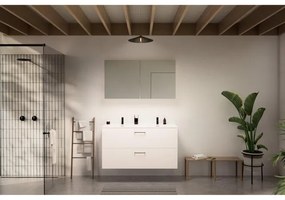 Go by Van Marcke badkamermeubelset - 120x65x45.5cm - 2 lades - met grepen - 2 wasbakken wit glans - 2 kraangaten - met spiegelkast - MDF standard white SW796967 - SW404481 - SW451959 - SW452465 - SW6470