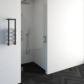 BRAUER Void nisdeur helder glas 80x200 omkeerbaar incl. glascoating PVD RVS-kleurig geborsteld GS-VON1H80200NG