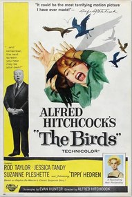 Poster Alfred Hitchcock - The Birds, (61 x 91.5 cm)