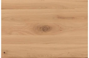 Goossens Eettafel Blade, Strak blad 200 x 100 cm 6 cm dik