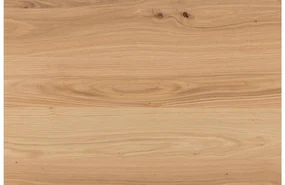 Goossens Eettafel Blade, Boomstamblad 180 x 90 cm 5 cm dik
