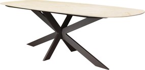 Derby dining tafel 240x100x77 cm terre