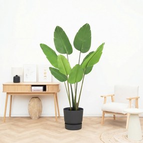 Kunst Strelitzia Nicolai - 155cm