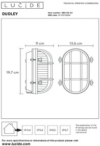 Lucide Dudley wandlamp 40W 20x14cm goud/messing