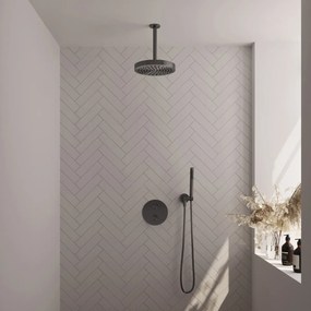 Brauer Stripe inbouw regendouche rond met 25cm hoofddouche, plafondarm en staafhanddouche set 39 gunmetal geborsteld PVD