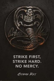 Poster Cobra Kai - Metal, (61 x 91.5 cm)