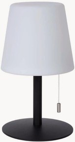 Dimbare outdoor LED-decoratielamp Rio met kleurverandering