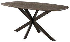 Ovale Eettafel Met Brons Blad 215cm - 180 X 95cm.