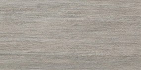 Vloer-/wandtegel travertin Casalgrande Padana Metalwood 30x60cm argento