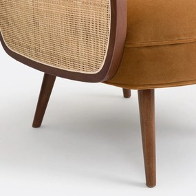 Fauteuil fluweel, Buisseau