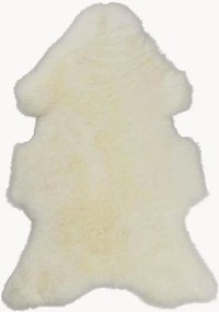 Schapenvacht Texel