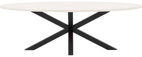 Goossens Eettafel Stone, Ovaal 240 x 120 cm
