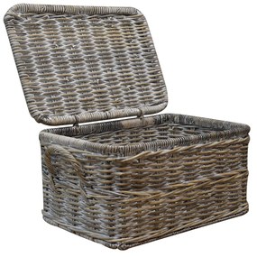 Hai fietsmand 50x35xH25 cm